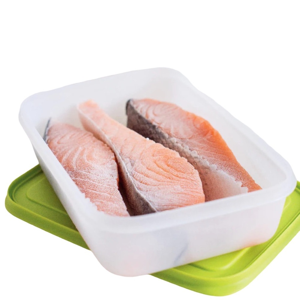 Tupperware Freezer Mates Plus Container medium 1L